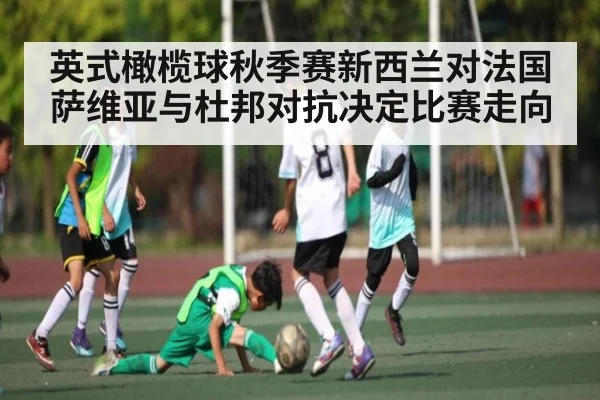 英式橄榄球秋季赛新西兰对法国 萨维亚与杜邦对抗决定比赛走向（www.c7c7.app）